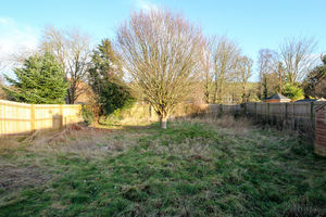 Photo 11- click for photo gallery